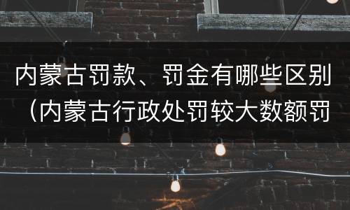 内蒙古罚款、罚金有哪些区别（内蒙古行政处罚较大数额罚款标准）