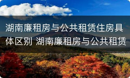湖南廉租房与公共租赁住房具体区别 湖南廉租房与公共租赁住房具体区别是什么