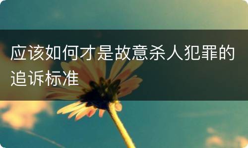 应该如何才是故意杀人犯罪的追诉标准