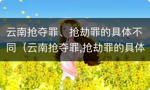 云南抢夺罪、抢劫罪的具体不同（云南抢夺罪,抢劫罪的具体不同案例）