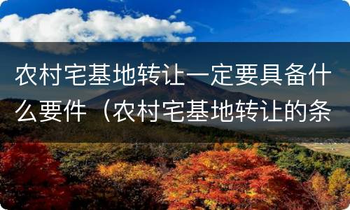农村宅基地转让一定要具备什么要件（农村宅基地转让的条件）