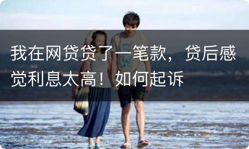 我在网贷贷了一笔款，贷后感觉利息太高！如何起诉
