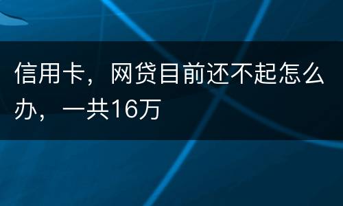 信用卡，网贷目前还不起怎么办，一共16万