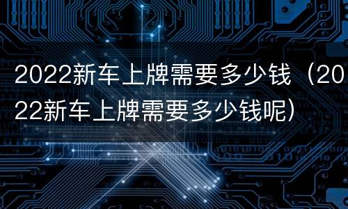 2022新车上牌需要多少钱（2022新车上牌需要多少钱呢）