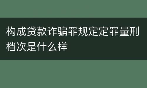 构成贷款诈骗罪规定定罪量刑档次是什么样