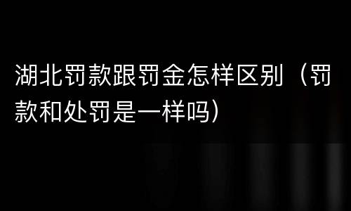 湖北罚款跟罚金怎样区别（罚款和处罚是一样吗）