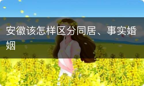 安徽该怎样区分同居、事实婚姻