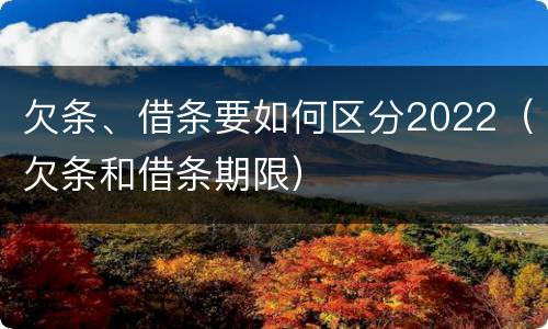 欠条、借条要如何区分2022（欠条和借条期限）