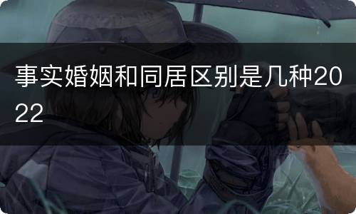 事实婚姻和同居区别是几种2022