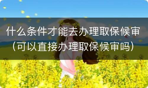 什么条件才能去办理取保候审（可以直接办理取保候审吗）