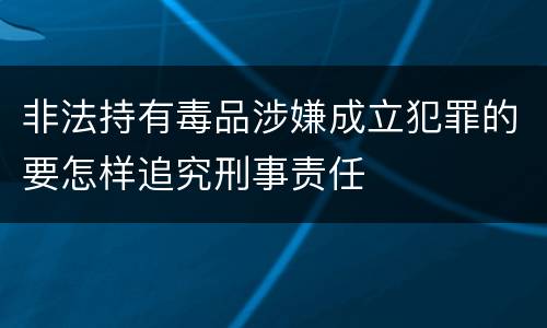 非法持有毒品涉嫌成立犯罪的要怎样追究刑事责任