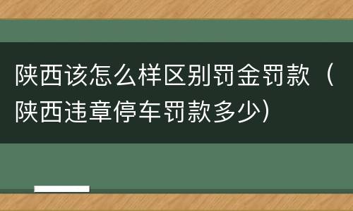 陕西该怎么样区别罚金罚款（陕西违章停车罚款多少）