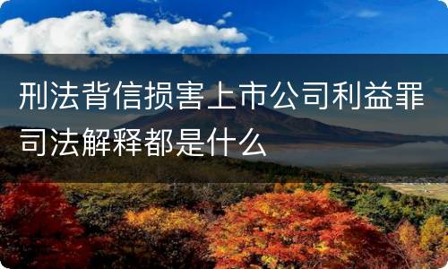 刑法背信损害上市公司利益罪司法解释都是什么
