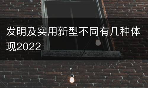 发明及实用新型不同有几种体现2022