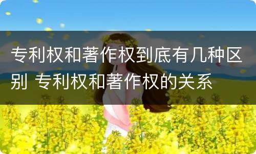专利权和著作权到底有几种区别 专利权和著作权的关系