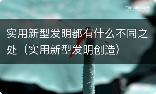 实用新型发明都有什么不同之处（实用新型发明创造）