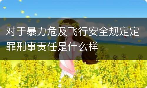 对于暴力危及飞行安全规定定罪刑事责任是什么样