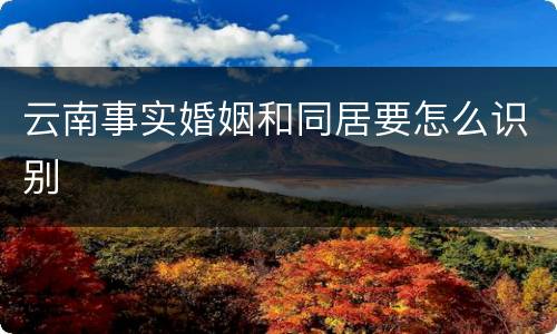云南事实婚姻和同居要怎么识别