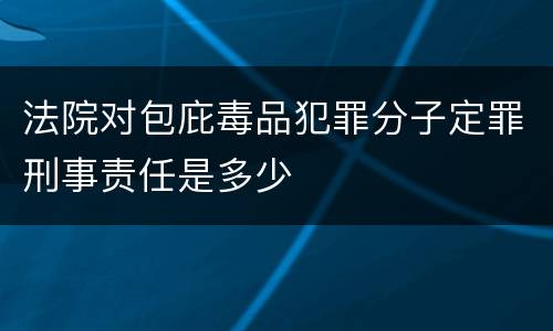 法院对包庇毒品犯罪分子定罪刑事责任是多少
