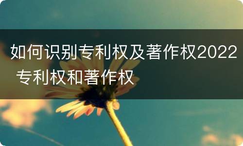 如何识别专利权及著作权2022 专利权和著作权