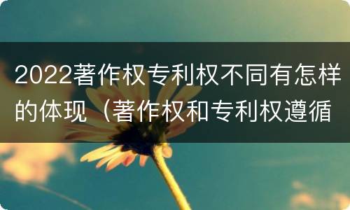 2022著作权专利权不同有怎样的体现（著作权和专利权遵循的理念）