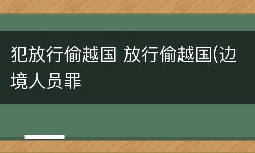 犯放行偷越国 放行偷越国(边境人员罪