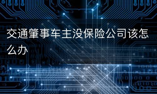 交通肇事车主没保险公司该怎么办
