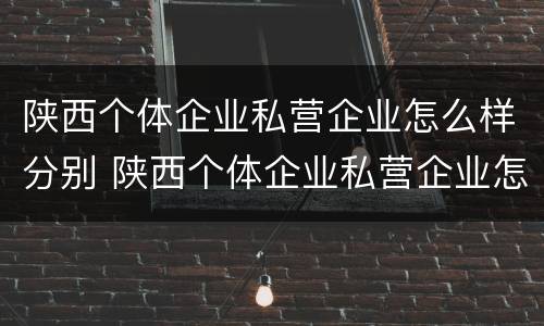 陕西个体企业私营企业怎么样分别 陕西个体企业私营企业怎么样分别缴税