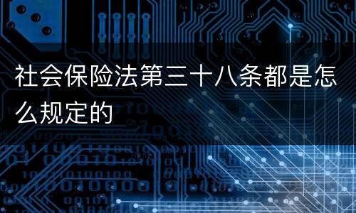 社会保险法第三十八条都是怎么规定的