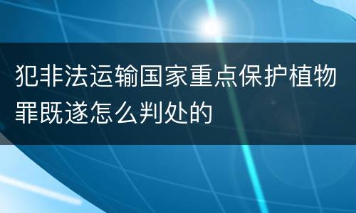 犯非法运输国家重点保护植物罪既遂怎么判处的