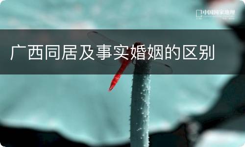 广西同居及事实婚姻的区别