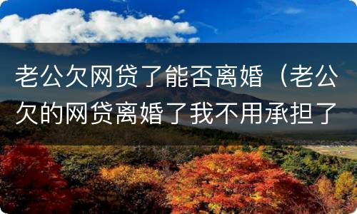 老公欠网贷了能否离婚（老公欠的网贷离婚了我不用承担了吧）