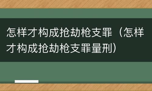 怎样才构成抢劫枪支罪（怎样才构成抢劫枪支罪量刑）