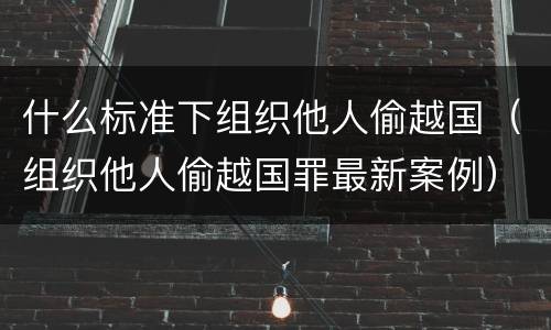 什么标准下组织他人偷越国（组织他人偷越国罪最新案例）