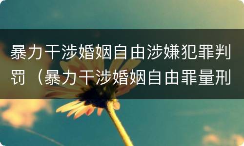 暴力干涉婚姻自由涉嫌犯罪判罚（暴力干涉婚姻自由罪量刑）