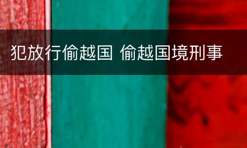 犯放行偷越国 偷越国境刑事