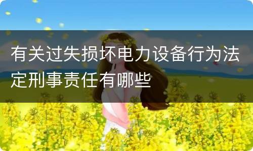 有关过失损坏电力设备行为法定刑事责任有哪些