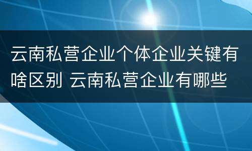 云南私营企业个体企业关键有啥区别 云南私营企业有哪些