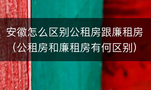 安徽怎么区别公租房跟廉租房（公租房和廉租房有何区别）