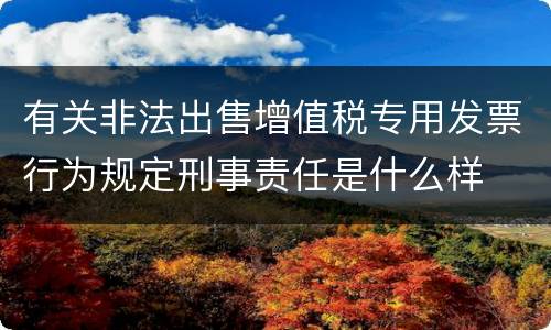 有关非法出售增值税专用发票行为规定刑事责任是什么样