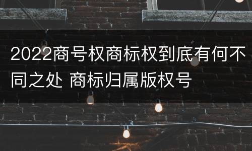 2022商号权商标权到底有何不同之处 商标归属版权号