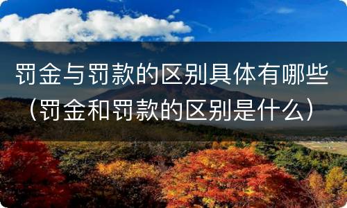 罚金与罚款的区别具体有哪些（罚金和罚款的区别是什么）