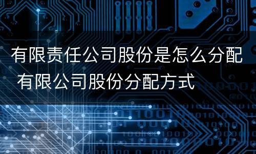有限责任公司股份是怎么分配 有限公司股份分配方式