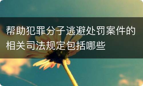帮助犯罪分子逃避处罚案件的相关司法规定包括哪些