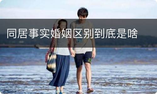 同居事实婚姻区别到底是啥