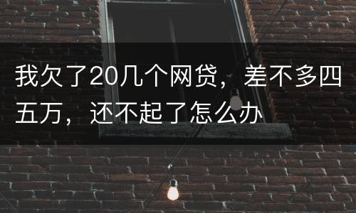 我欠了20几个网贷，差不多四五万，还不起了怎么办