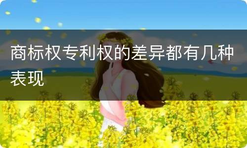 商标权专利权的差异都有几种表现
