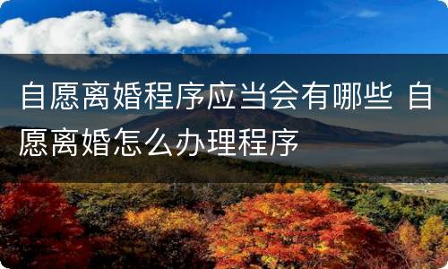 自愿离婚程序应当会有哪些 自愿离婚怎么办理程序