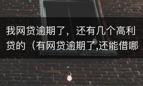 我网贷逾期了，还有几个高利贷的（有网贷逾期了,还能借哪个贷款）