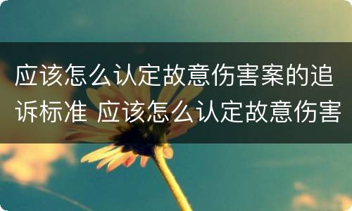 应该怎么认定故意伤害案的追诉标准 应该怎么认定故意伤害案的追诉标准呢